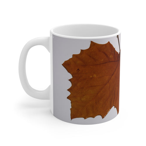 Autumn Form | Mug 11oz