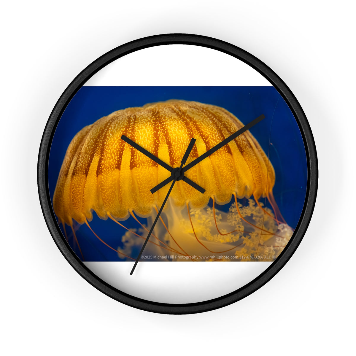 Mark of the Nettle | Wall Clock