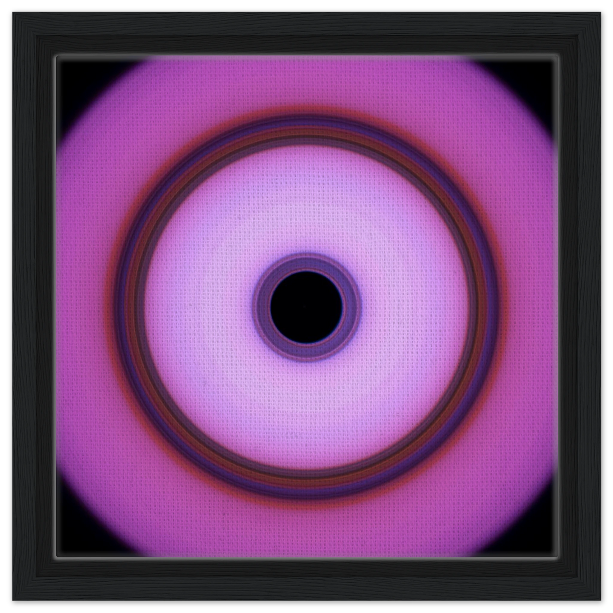 2570d19d-df66-46ff-9d28-a9bc00e42f11