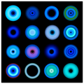 f0aa8159-2eb8-47b8-b4eb-cd44723c7511